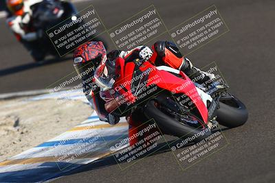 media/Nov-02-2025-Lets Ride (Sun) [[f7a3caa734]]/B Group/220pm (Turn 6)/